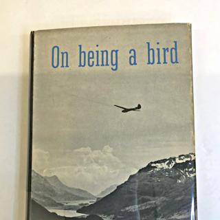 Image: On being a bird