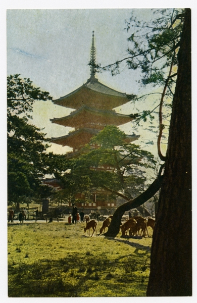 Image: postcard: JAL (Japan Air Lines), Nara