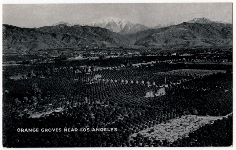 Image: postcard: United Air Lines, Los Angeles