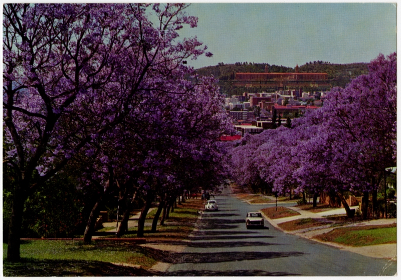 Image: postcard: South African Airways (SAA), Pretoria