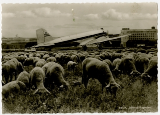 Image: postcard: Berlin Zentral Airport, Douglas DC-3