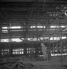 Image: negative: San Francisco International Airport (SFO), Contract 130 Terminal Building Construction, roof