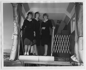 Image: photograph: American Airlines, female flight attendants