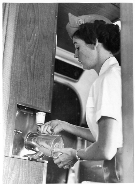 Image: career history questionnaire: World Wings International, Jane Rieman Galpin