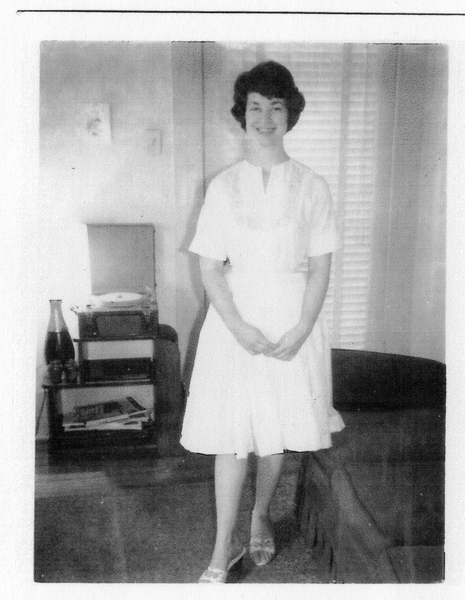 Image: career history questionnaire: World Wings International, Nancy Longley Vallandigham