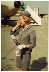 Image: career history questionnaire: World Wings International, Dorothea Heinz Leyh