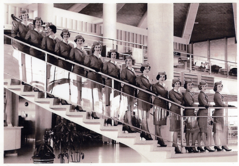 Image: career history questionnaire: World Wings International, Laila Saether