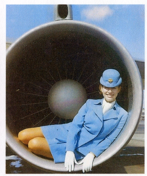 Image: career history questionnaire: World Wings International, Dian Stirn Groh