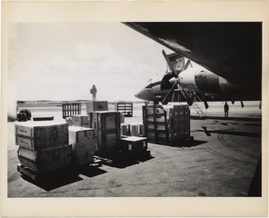 Image: photograph: Flying Tiger (Cargo), Canadair CL-44, Newark International Airport, New Jersey