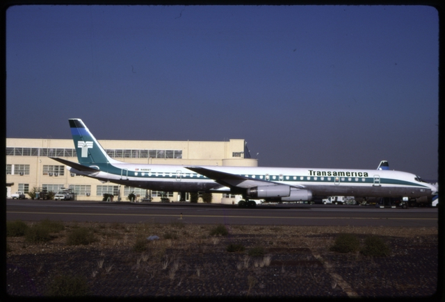 Slide: Transamerica Airlines, Douglas DC-8-63, Oakland International Airport (OAK)