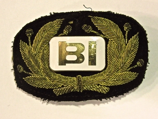 Image: flight officer cap badge: Braniff International