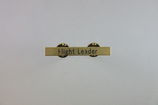 Image: name pin: Delta Air Lines, Flight Leader