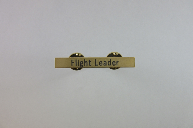 Name pin: Delta Air Lines, Flight Leader