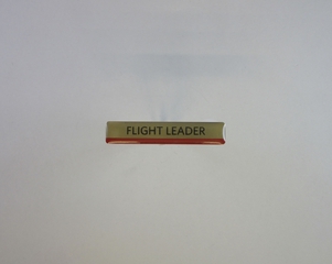 Image: name pin: Delta Air Lines, Flight Leader