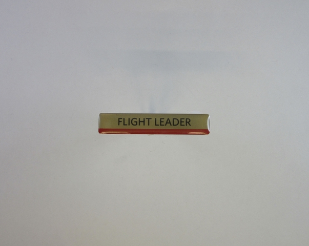 Name pin: Delta Air Lines, Flight Leader