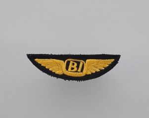 Image: flight officer wings: Braniff Inc.