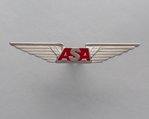 Image: flight officer wings: Atlantic Southeast Airlines