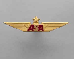 Image: flight officer wings: Atlantic Southeast Airlines