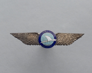 Image: flight officer wings: California Eastern Airways