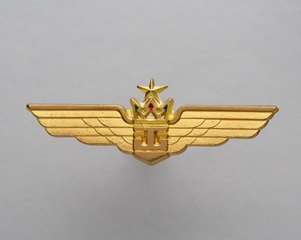 Image: flight officer wings: Casino Express Airlines