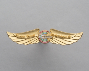 Image: flight officer wings: Circle Rainbow Air