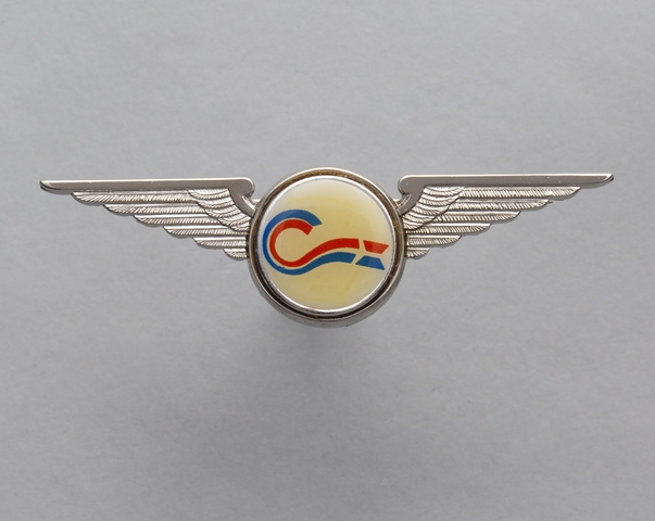 Flight officer wings: Coleman Air Trans