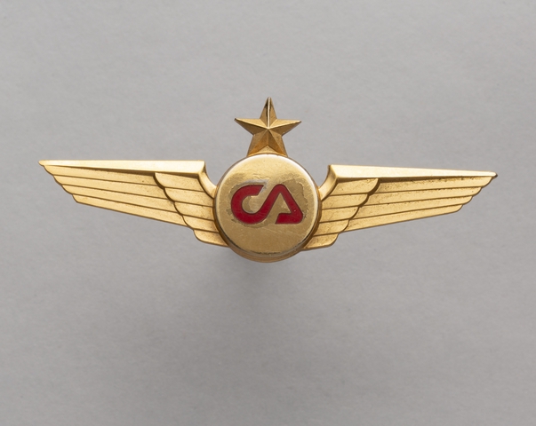 Flight officer wings: ComAir
