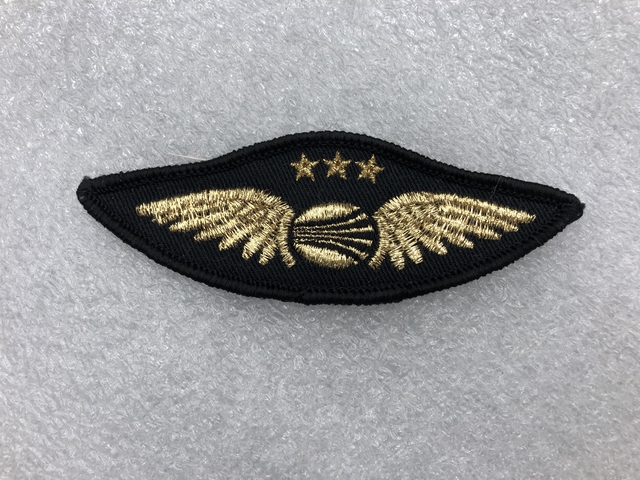 Flight officer wings: Continental Airlines