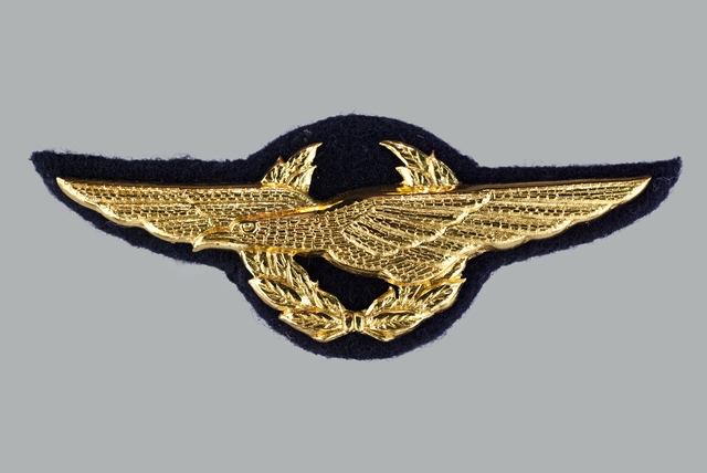 Flight officer wings: Thai Airways International