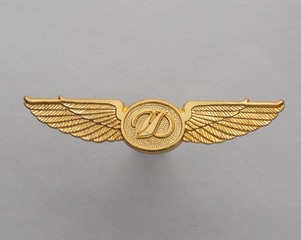 Image: flight officer wings: Discovery Airways
