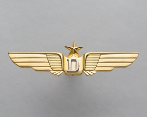 Image: flight officer wings: Downeast Airlines