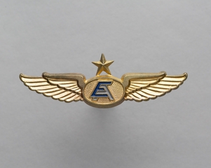 Image: flight officer wings: Enterprise Air