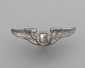 Image: flight officer wings: Federal Express