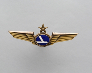 Image: flight officer wings: Eastern Air Lines