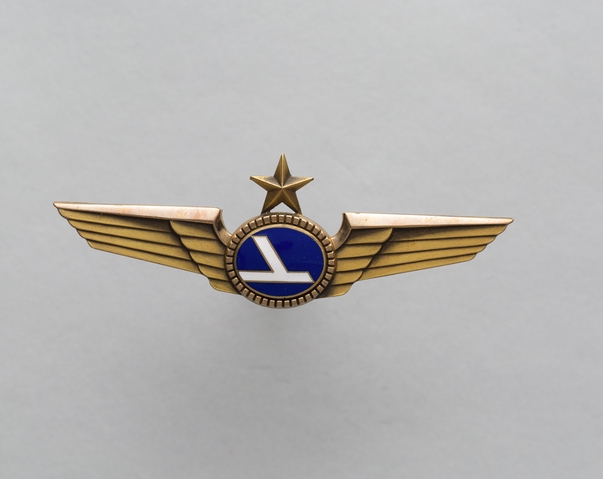 Flight officer wings: Eastern Air Lines
