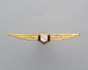 Image: flight officer wings: Holiday Airlines