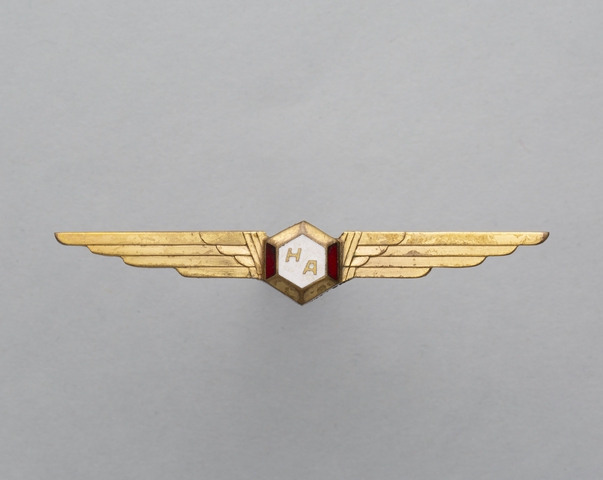 Flight officer wings: Holiday Airlines