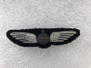 Image: flight officer wings: Henson Airlines