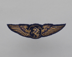 Image: flight officer wings: MGM Grand Air