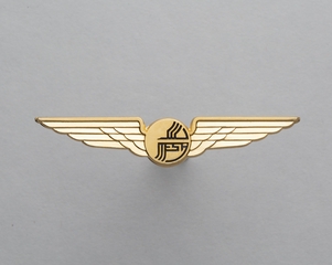 Image: flight officer wings: Mesa Airlines