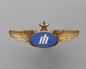 Image: flight officer wings: Metro Airlines