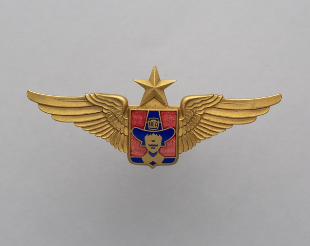 Flight officer wings: Northeast Airlines