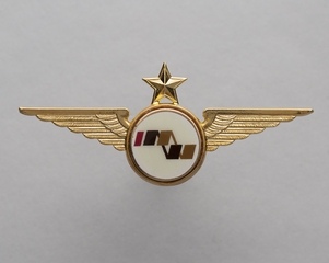 Image: flight officer wings: Mountain West Airlines