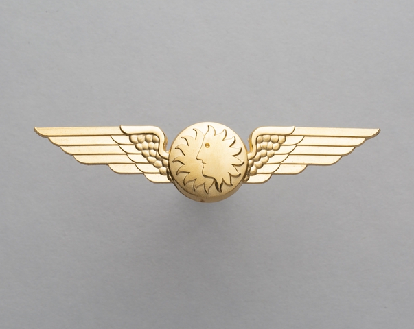 Flight officer wings: National Airlines