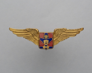Image: flight officer wings: Northeast Airlines