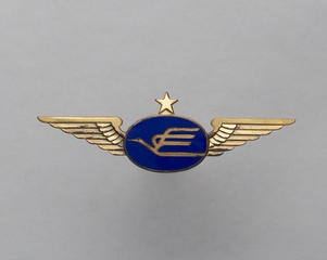 Image: flight officer wings: Prinair Airlines