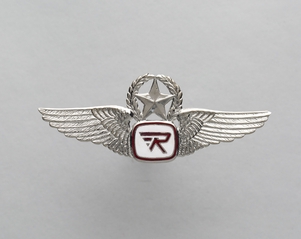 Image: flight officer wings: Ransome Airlines