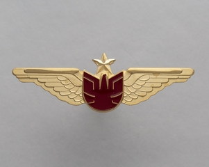 Image: flight officer wings: unknown airline