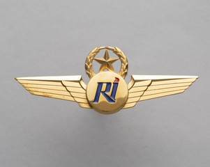 Image: flight officer wings: Rich International Airways