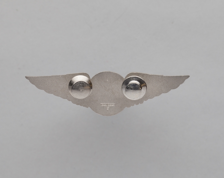 Image: flight officer wings: SkyWest